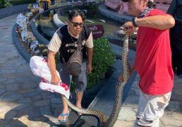 %e0%b8%ae%e0%b8%b7%e0%b8%ad%e0%b8%ae%e0%b8%b2%e0%b8%aa%e0%b8%b2%e0%b8%a2%e0%b8%a1%e0%b8%b9-%e0%b8%87%e0%b8%b9%e0%b9%80%e0%b8%ab%e0%b8%a5%e0%b8%b7%e0%b8%ad%e0%b8%a1%e0%b9%83%e0%b8%ab%e0%b8%8d%e0%b9%88