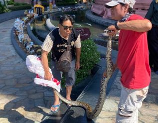 %e0%b8%ae%e0%b8%b7%e0%b8%ad%e0%b8%ae%e0%b8%b2%e0%b8%aa%e0%b8%b2%e0%b8%a2%e0%b8%a1%e0%b8%b9-%e0%b8%87%e0%b8%b9%e0%b9%80%e0%b8%ab%e0%b8%a5%e0%b8%b7%e0%b8%ad%e0%b8%a1%e0%b9%83%e0%b8%ab%e0%b8%8d%e0%b9%88