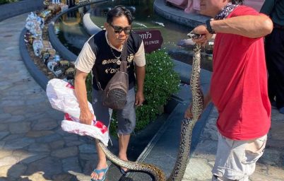 %e0%b8%ae%e0%b8%b7%e0%b8%ad%e0%b8%ae%e0%b8%b2%e0%b8%aa%e0%b8%b2%e0%b8%a2%e0%b8%a1%e0%b8%b9-%e0%b8%87%e0%b8%b9%e0%b9%80%e0%b8%ab%e0%b8%a5%e0%b8%b7%e0%b8%ad%e0%b8%a1%e0%b9%83%e0%b8%ab%e0%b8%8d%e0%b9%88