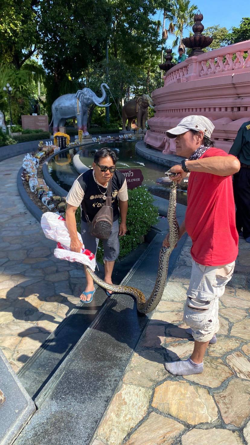 %e0%b8%ae%e0%b8%b7%e0%b8%ad%e0%b8%ae%e0%b8%b2%e0%b8%aa%e0%b8%b2%e0%b8%a2%e0%b8%a1%e0%b8%b9-%e0%b8%87%e0%b8%b9%e0%b9%80%e0%b8%ab%e0%b8%a5%e0%b8%b7%e0%b8%ad%e0%b8%a1%e0%b9%83%e0%b8%ab%e0%b8%8d%e0%b9%88