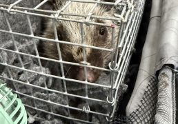 %e0%b8%a8%e0%b8%b8%e0%b8%a5%e0%b8%81%e0%b8%b2%e0%b8%81%e0%b8%a3-%e0%b8%81%e0%b8%a3%e0%b8%a1%e0%b8%ad%e0%b8%b8%e0%b8%97%e0%b8%a2%e0%b8%b2%e0%b8%99%e0%b8%af-%e0%b8%aa%e0%b8%81%e0%b8%b1%e0%b8%94