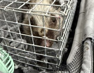 %e0%b8%a8%e0%b8%b8%e0%b8%a5%e0%b8%81%e0%b8%b2%e0%b8%81%e0%b8%a3-%e0%b8%81%e0%b8%a3%e0%b8%a1%e0%b8%ad%e0%b8%b8%e0%b8%97%e0%b8%a2%e0%b8%b2%e0%b8%99%e0%b8%af-%e0%b8%aa%e0%b8%81%e0%b8%b1%e0%b8%94