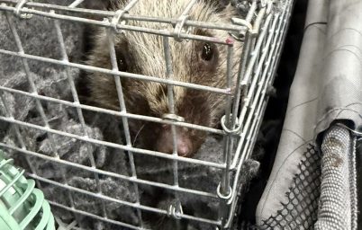 %e0%b8%a8%e0%b8%b8%e0%b8%a5%e0%b8%81%e0%b8%b2%e0%b8%81%e0%b8%a3-%e0%b8%81%e0%b8%a3%e0%b8%a1%e0%b8%ad%e0%b8%b8%e0%b8%97%e0%b8%a2%e0%b8%b2%e0%b8%99%e0%b8%af-%e0%b8%aa%e0%b8%81%e0%b8%b1%e0%b8%94