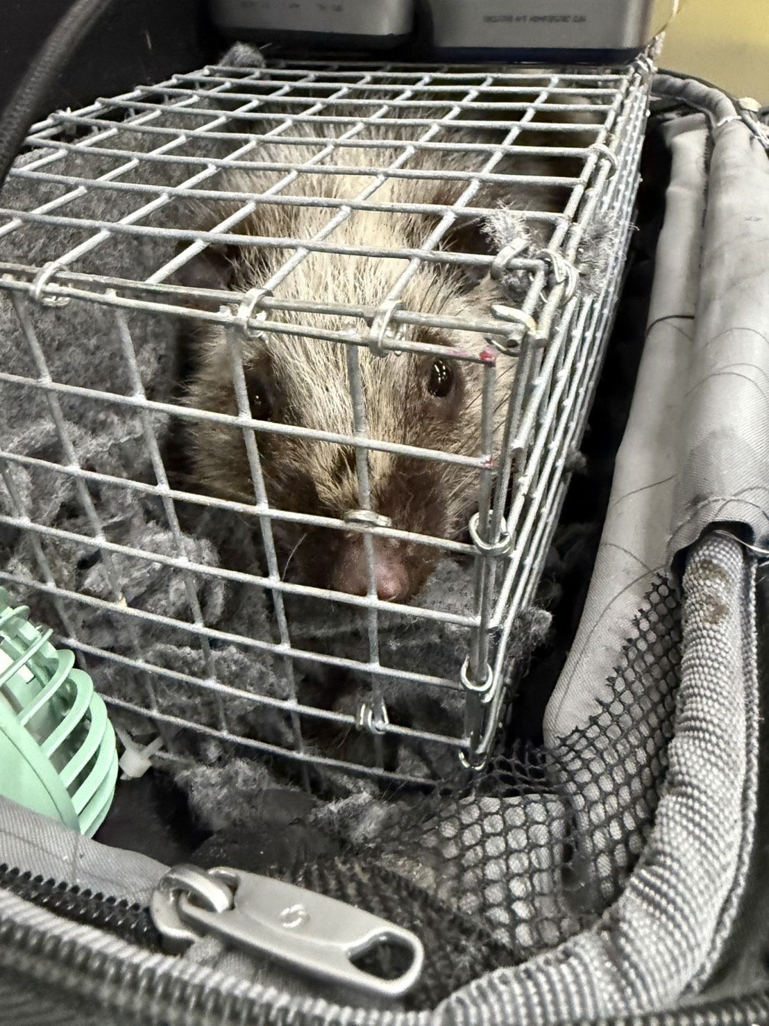 %e0%b8%a8%e0%b8%b8%e0%b8%a5%e0%b8%81%e0%b8%b2%e0%b8%81%e0%b8%a3-%e0%b8%81%e0%b8%a3%e0%b8%a1%e0%b8%ad%e0%b8%b8%e0%b8%97%e0%b8%a2%e0%b8%b2%e0%b8%99%e0%b8%af-%e0%b8%aa%e0%b8%81%e0%b8%b1%e0%b8%94