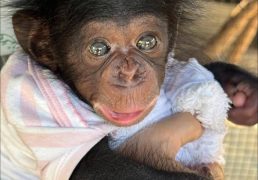 %e0%b8%9f%e0%b8%b2%e0%b8%a3%e0%b9%8c%e0%b8%a1%e0%b8%88%e0%b8%a3%e0%b8%b0%e0%b9%80%e0%b8%82%e0%b9%89%e0%b9%81%e0%b8%a5%e0%b8%b0%e0%b8%aa%e0%b8%a7%e0%b8%99%e0%b8%aa%e0%b8%b1%e0%b8%95%e0%b8%a7%e0%b9%8c-2