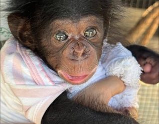 %e0%b8%9f%e0%b8%b2%e0%b8%a3%e0%b9%8c%e0%b8%a1%e0%b8%88%e0%b8%a3%e0%b8%b0%e0%b9%80%e0%b8%82%e0%b9%89%e0%b9%81%e0%b8%a5%e0%b8%b0%e0%b8%aa%e0%b8%a7%e0%b8%99%e0%b8%aa%e0%b8%b1%e0%b8%95%e0%b8%a7%e0%b9%8c-2