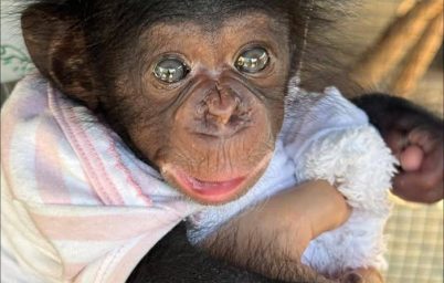 %e0%b8%9f%e0%b8%b2%e0%b8%a3%e0%b9%8c%e0%b8%a1%e0%b8%88%e0%b8%a3%e0%b8%b0%e0%b9%80%e0%b8%82%e0%b9%89%e0%b9%81%e0%b8%a5%e0%b8%b0%e0%b8%aa%e0%b8%a7%e0%b8%99%e0%b8%aa%e0%b8%b1%e0%b8%95%e0%b8%a7%e0%b9%8c-2