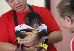 %e0%b8%9f%e0%b8%b2%e0%b8%a3%e0%b9%8c%e0%b8%a1%e0%b8%88%e0%b8%a3%e0%b8%b0%e0%b9%80%e0%b8%82%e0%b9%89%e0%b9%81%e0%b8%a5%e0%b8%b0%e0%b8%aa%e0%b8%a7%e0%b8%99%e0%b8%aa%e0%b8%b1%e0%b8%95%e0%b8%a7%e0%b9%8c-3