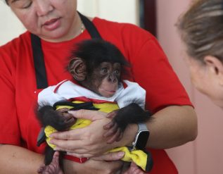 %e0%b8%9f%e0%b8%b2%e0%b8%a3%e0%b9%8c%e0%b8%a1%e0%b8%88%e0%b8%a3%e0%b8%b0%e0%b9%80%e0%b8%82%e0%b9%89%e0%b9%81%e0%b8%a5%e0%b8%b0%e0%b8%aa%e0%b8%a7%e0%b8%99%e0%b8%aa%e0%b8%b1%e0%b8%95%e0%b8%a7%e0%b9%8c-3