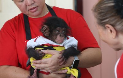 %e0%b8%9f%e0%b8%b2%e0%b8%a3%e0%b9%8c%e0%b8%a1%e0%b8%88%e0%b8%a3%e0%b8%b0%e0%b9%80%e0%b8%82%e0%b9%89%e0%b9%81%e0%b8%a5%e0%b8%b0%e0%b8%aa%e0%b8%a7%e0%b8%99%e0%b8%aa%e0%b8%b1%e0%b8%95%e0%b8%a7%e0%b9%8c-3