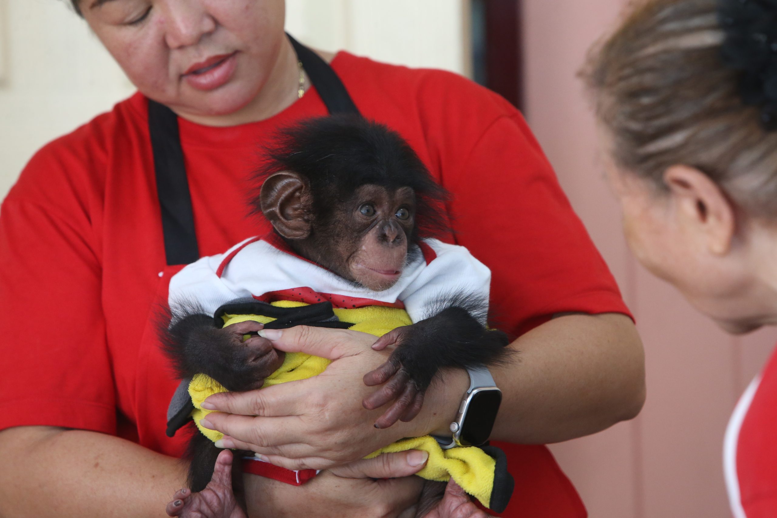 %e0%b8%9f%e0%b8%b2%e0%b8%a3%e0%b9%8c%e0%b8%a1%e0%b8%88%e0%b8%a3%e0%b8%b0%e0%b9%80%e0%b8%82%e0%b9%89%e0%b9%81%e0%b8%a5%e0%b8%b0%e0%b8%aa%e0%b8%a7%e0%b8%99%e0%b8%aa%e0%b8%b1%e0%b8%95%e0%b8%a7%e0%b9%8c-3